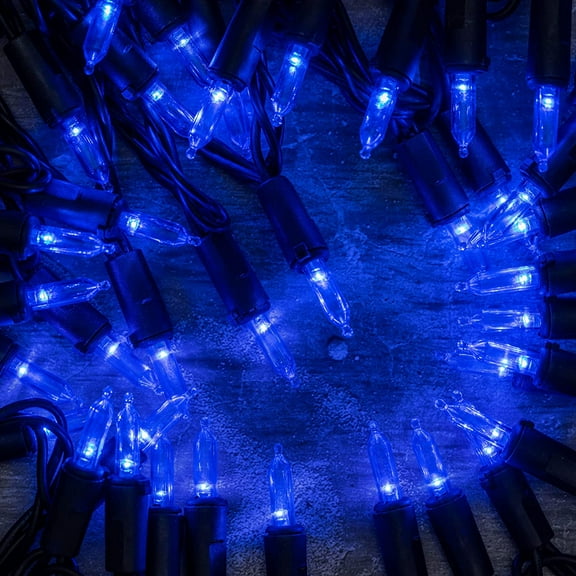 YJYASX-200 Blue LED Christmas Lights with Black Wire, Pack of 2 Strands 33 Feet 100 Lights UL Certified Holiday String Light Set