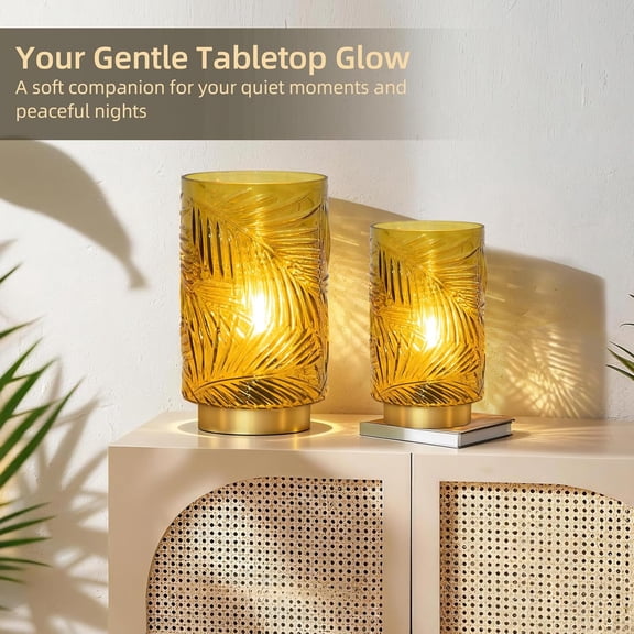 YJYASX-Battery Operated Table Lamp, Cordless Lamps for Home Decor, Battery Powered Nightlight with LED Bulb with Timer, Decorative Lights for Living Room Bedroom Tabletop Entryway Centerpiece Gift(S