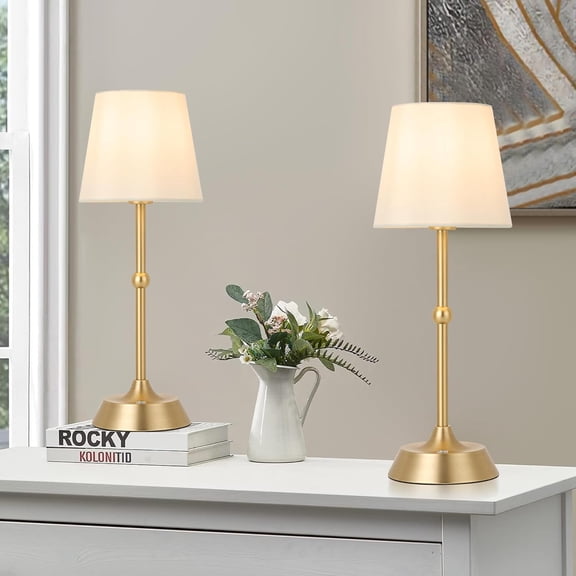 YJYASX-LED Cordless Cold Table Lamp Portable Dimmable Desk Lamp 6000mA Battery Powered Touch Control Table Lamp Dining Room,Bedroom,Bar,Camping,Balcony.(LED Bulb Included)