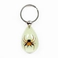 thumbnail image 1 of YK601 Real Bug Key Chain-Tear Drop Shape-Glow in the Dark-Spiny Spider, 1 of 1