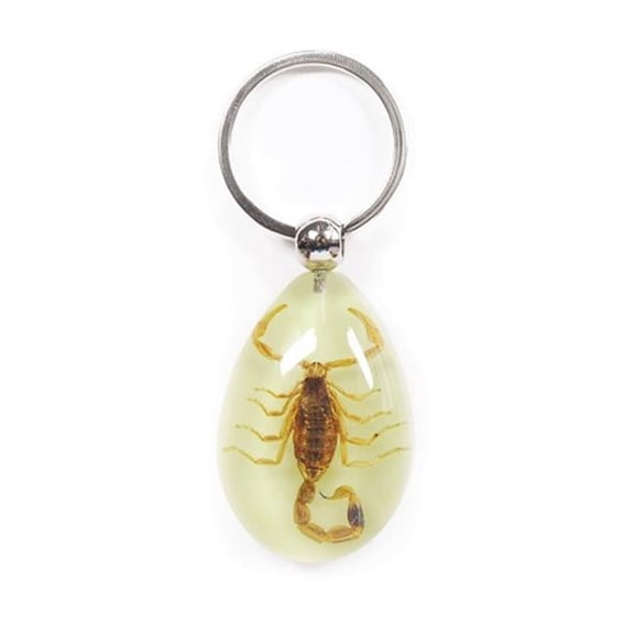 YK603 Real Bug Key Chain-Tear Drop Shape-Glow in the Dark-Gold Scorpion