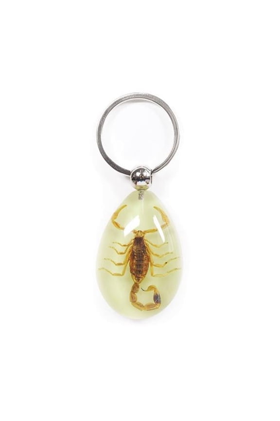 YK603 Real Bug Key Chain-Tear Drop Shape-Glow in the Dark-Gold Scorpion