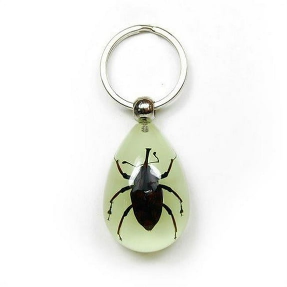 YK607 Key Chain Tear Drop Shape Glow in the Dark Bamboo Weevil