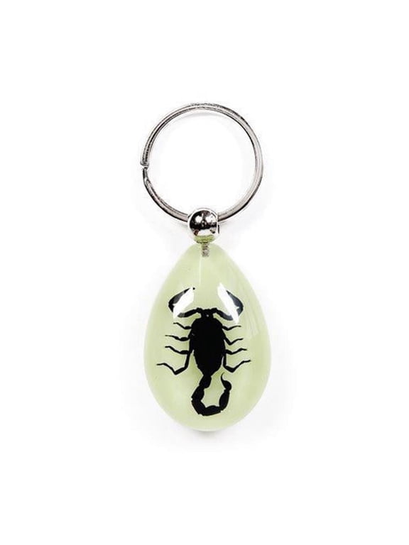 YK608 Real Bug Key Chain-Tear Drop Shape-Glow in the Dark-Black Scorpion