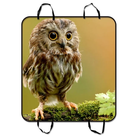 YKCG Close-up of a Whitefaced Owl Black and Grey Pet Seat Cover Car Seat Cover for Pets Cargo Mats and Hammocks for Cars Trucks and SUVs 54x60 inches