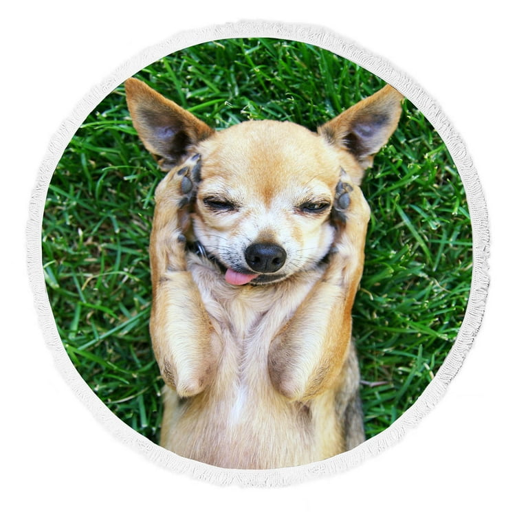 Chihuahua Beach Blanket Chihuahua Beach Blanket