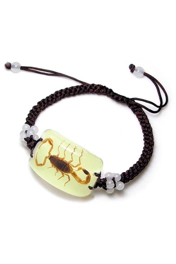 YL05 Real Bug Bracelet-Scorpion