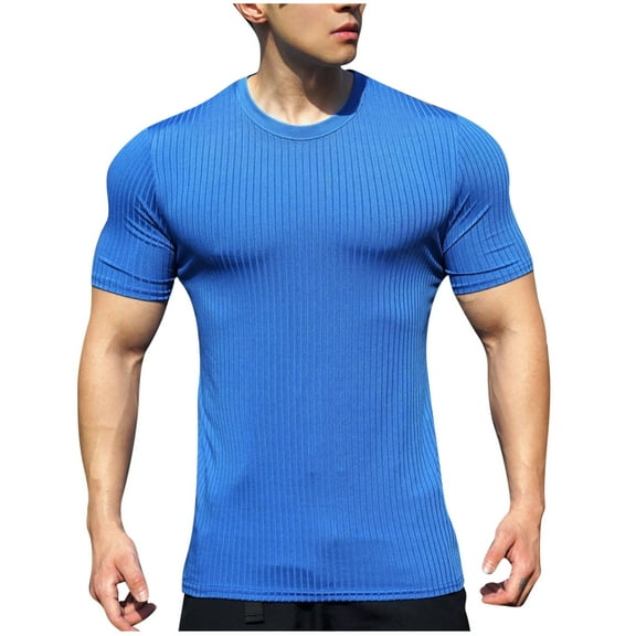 YLSDY Fashion Mens T-Shirts Short Sleeve Plain Tshirts Casual Crew Neck Basic T Shirt Soft Stylish Fitted Stretch Tee Shirts Blue XXXL
