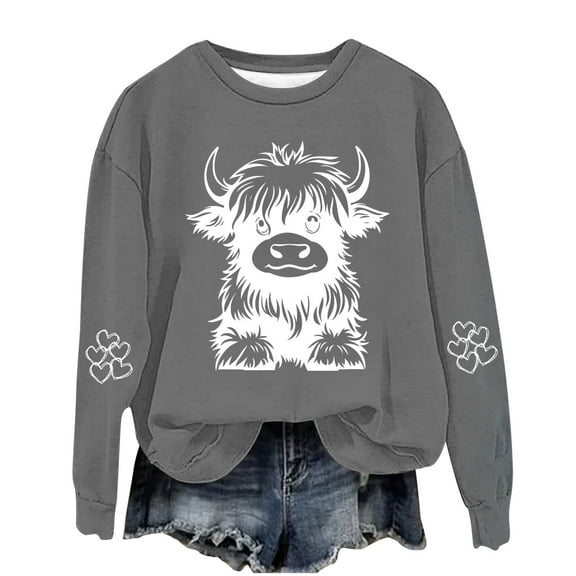 YLSDY Highland Cow Hoodies for Teen Girls Cute Funny Graphic Sweatshirt Cowgirl Long Sleeve Plus Size Oversized Pullover Tops Gray 13 Years