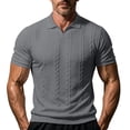 thumbnail image 1 of YLSDY Men's Cable Knit Golf Shirt, V-Neck with Open Collar, Short Sleeve Textured Casual Top Dark Gray S, 1 of 8
