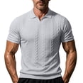 thumbnail image 1 of YLSDY Men's Cable Knit Golf Shirt, V-Neck with Open Collar, Short Sleeve Textured Casual Top Gray L, 1 of 7