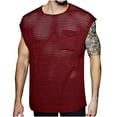 thumbnail image 1 of YLSDY Men's Muscle Transparent Sleeveless Shirts Solid Color See Through Tees Hollow Out Tank Tops Crew Neck Pullover T-Shirts Relaxed Fit, 1 of 6
