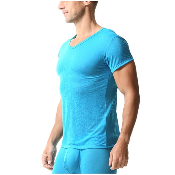 YLSDY Men's Sheer Mesh V-Neck T-Shirt See-Through Short Sleeve Muscle Tee Fitness Summer Tops Blue L