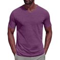 thumbnail image 1 of YLSDY Men's T Shirts Short Sleeve Classic V Neck T-Shirt Casual Summer Basic Tee Shirt Trendy 2025 Solid Tops Purple L, 1 of 4