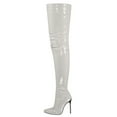 thumbnail image 1 of YLYL Thigh High Boots Over the Knee Boots for Women Sexy Stilettos High Heels Boots Long Pointed Toe Shoes, 1 of 5