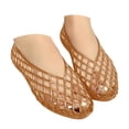 thumbnail image 1 of YLYL Women Jelly Ballet Flat Shoes Pointed Toe Slip on Hollow out Comfortable Casual Summer Beach Shoes, 1 of 6