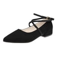 thumbnail image 1 of YLYL Women's Suede Ankle Strap Mary Jane Shoes Pointed Toe Soft Soled Comfort Casual Dressy Business Party Shoes, 1 of 7