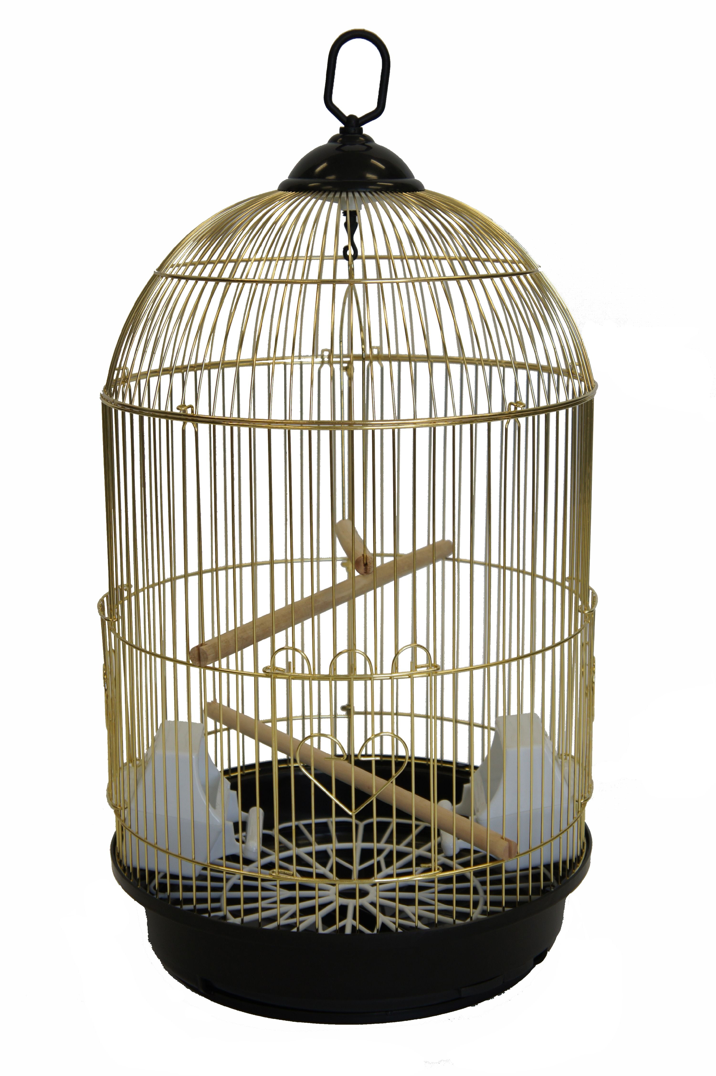 YML 1564BRASS Round Top Bird Cage, Small, Brass 