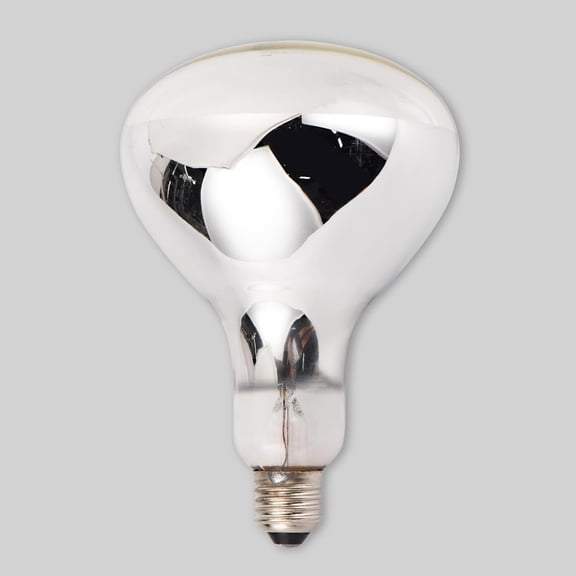 YNTVV-Incandescent R40 Reflector Infrared Lamp, Explosion Proof Clear Glass, E26 Base, Heat Lamp Bulb 250W for Reptiles, Turtles, Pets, Calves and Lambs, Chicks and Bathroom, 2 Pack (R40INC)