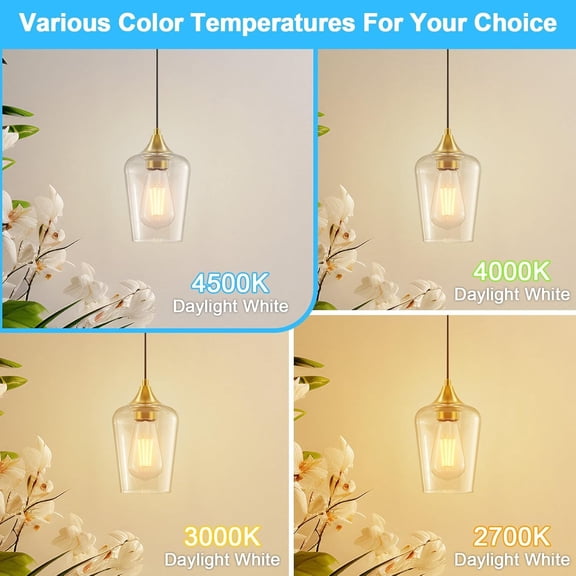 YNTVV-ST64 Vintage LED Edison Bulbs 60 Watt Equivalent 6-Pack, Bright Natural White Light 4500K, E26 Antique LED Filament Bulbs, E26 Medium Base