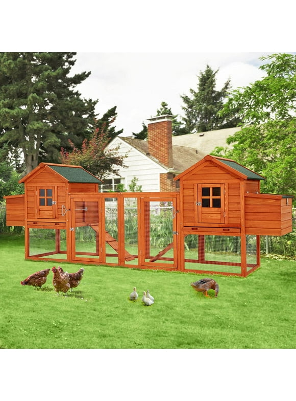 Large Chicken Coops in Chicken Coops