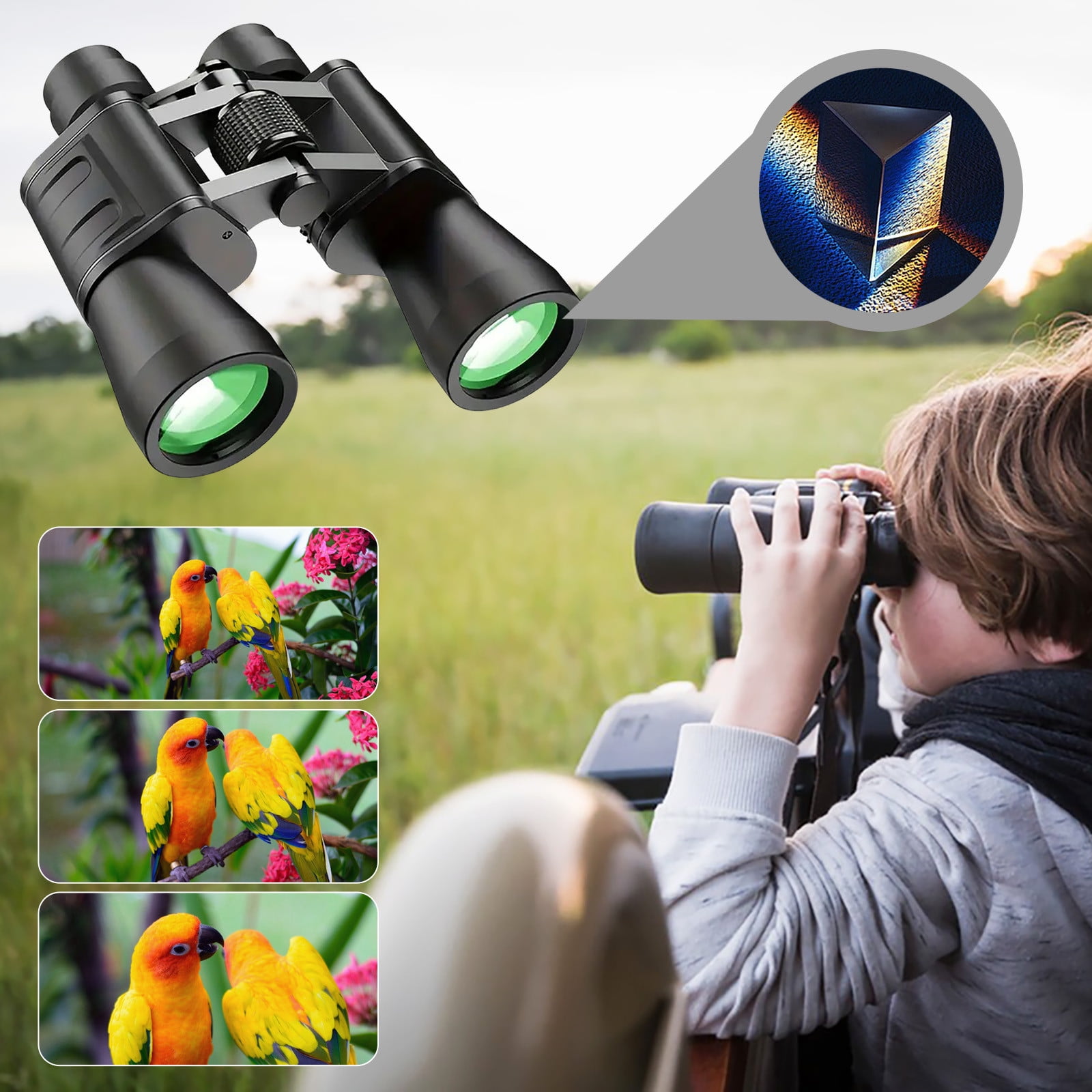 Bird Watching Best Binoculars For City Viewing Bird Watching Best - Main Image