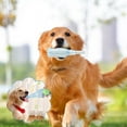 thumbnail image 1 of YOFOKO Pet Chew Beer Bottle with Tennis Ball, Crunch and Play Bottle Dog Toy, Crunchnplay Bottle Toy, Water Bottle Dog Toy, for Teeth Grinding, Interactive Play, 1 of 5