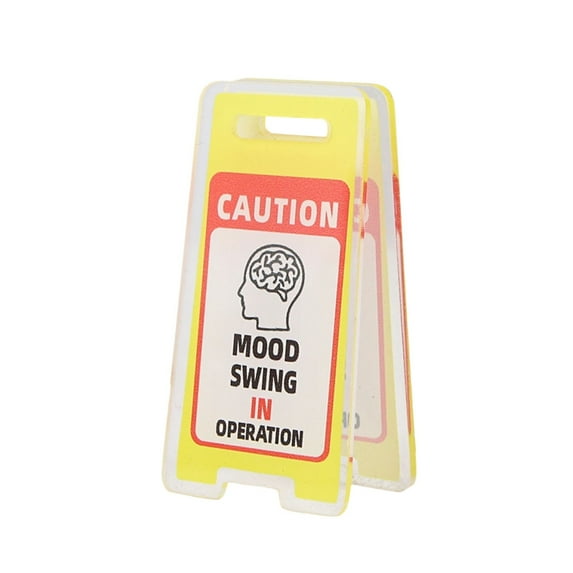 YOHAVEN Funny Office Desk Sign Mini Acrylic Work Gift Novelty Humor Decoration Home Office Coworker Manager Supervisor Desk Accent