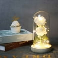 thumbnail image 1 of YOHAVEN Romantic Glass Rose Decoration Forever Rose in Dome Preserved Artificial Flower with LED String Light Wedding Anniversary Birthday Valentine’s Day Holiday Gift for Her, 1 of 3