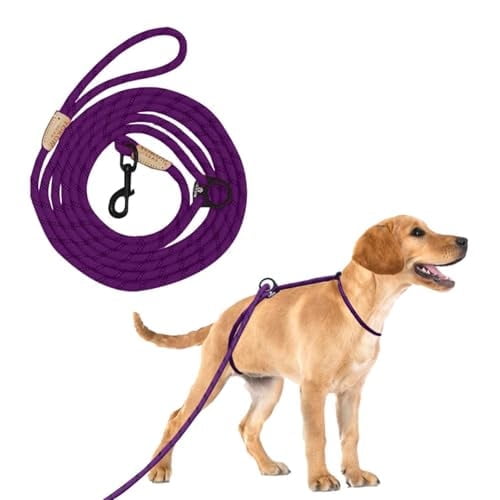 YOKUM GEAR 12ft No Choke Leash Long Rope Dog Leash, Anti Pulling Dog Leash, Dog Harness and Leash, Dog Leads for Walking, Double Hook & Escape Proof for All Breeds, Reflective Purple