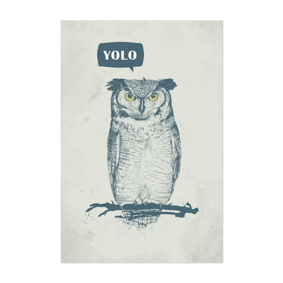 YOLO - Illustration Humor Animal Wildlife Quote Bird Typography Unframed Wall Art Print 32 x 48 inches