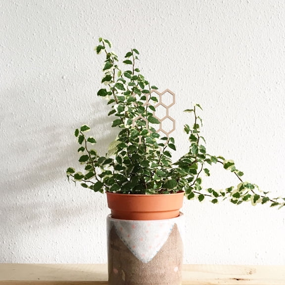 YOSADIER 3Pcs Reusable Garden Trellis Wood Hexagonal for Potted Plants in Indoor Garden