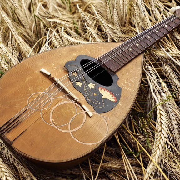 YOSADIER 8 Strings Acoustic Mandolin Strings Steel Wire Professional