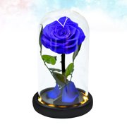 YOSADIER Decorative Eternal Flower Bottle Light, Glass Shade Lamp with Lighted Base