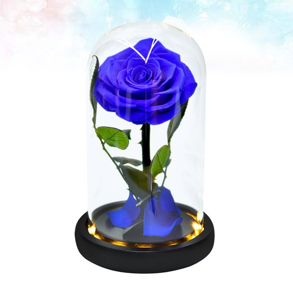 YOSADIER Decorative Eternal Flower Bottle Light, Glass Shade Lamp with Lighted Base
