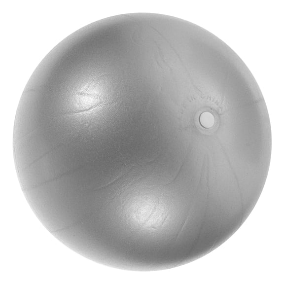 YOSADIER Durable Plated Silver PVC Exercise Ball for Yoga and Core Strengthening