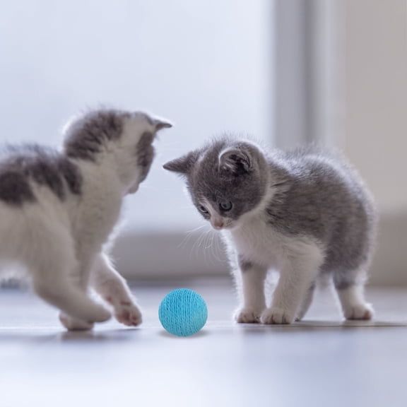 YOSADIER Sky Blue Sisal Rope Cat Scratch Ball with Sound for Indoor Cat Exercise