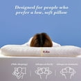 thumbnail image 1 of YOTQUSKI Flat Pillows for Sleeping,Soybean Pillow,Thin Pillow,Thin Memory Foam Pillow for Sleeping,Contour Thin & Low Cervical Profile,for Neck Pain,Stomacher,Back and Side Sleeper,Soft, 1 of 6