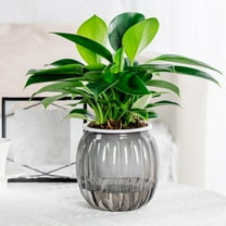 YOTQUSKI Plant Pots,Pots for Plants,Clear Plastic Flower Pots Planters,Self Watering Pots Plants,Green Plant Lovers Transpare,for Office Home Indoor Outdoor