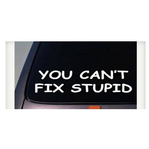YOU Can't FIX Stupid Sticker Funny Car Window Vinyl Decal Truck Dumb People *C725*