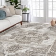 thumbnail image 1 of YOUFORTONG 8x10 Washable Area Rug, Large Vintage Indoor Carpet for Living Room Bedroom, Non Slip Backing Stain Resistant Soft Floor Mat, Home Decor Accent Rug,Grey, 1 of 7