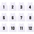thumbnail image 1 of YOUI-GIFTS RE-HUO&nbsp;12 Pack&nbsp;Numbered（1-12） Scrimmage&nbsp;Vests/Sport Pinnies/Training&nbsp;Bibs&nbsp;for Basketball ,Soccer, Volleyball and Baseball, 1 of 7