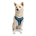 thumbnail image 1 of YOULY Comfort Neoprene Dog Harness Blue X-Large, 1 of 8