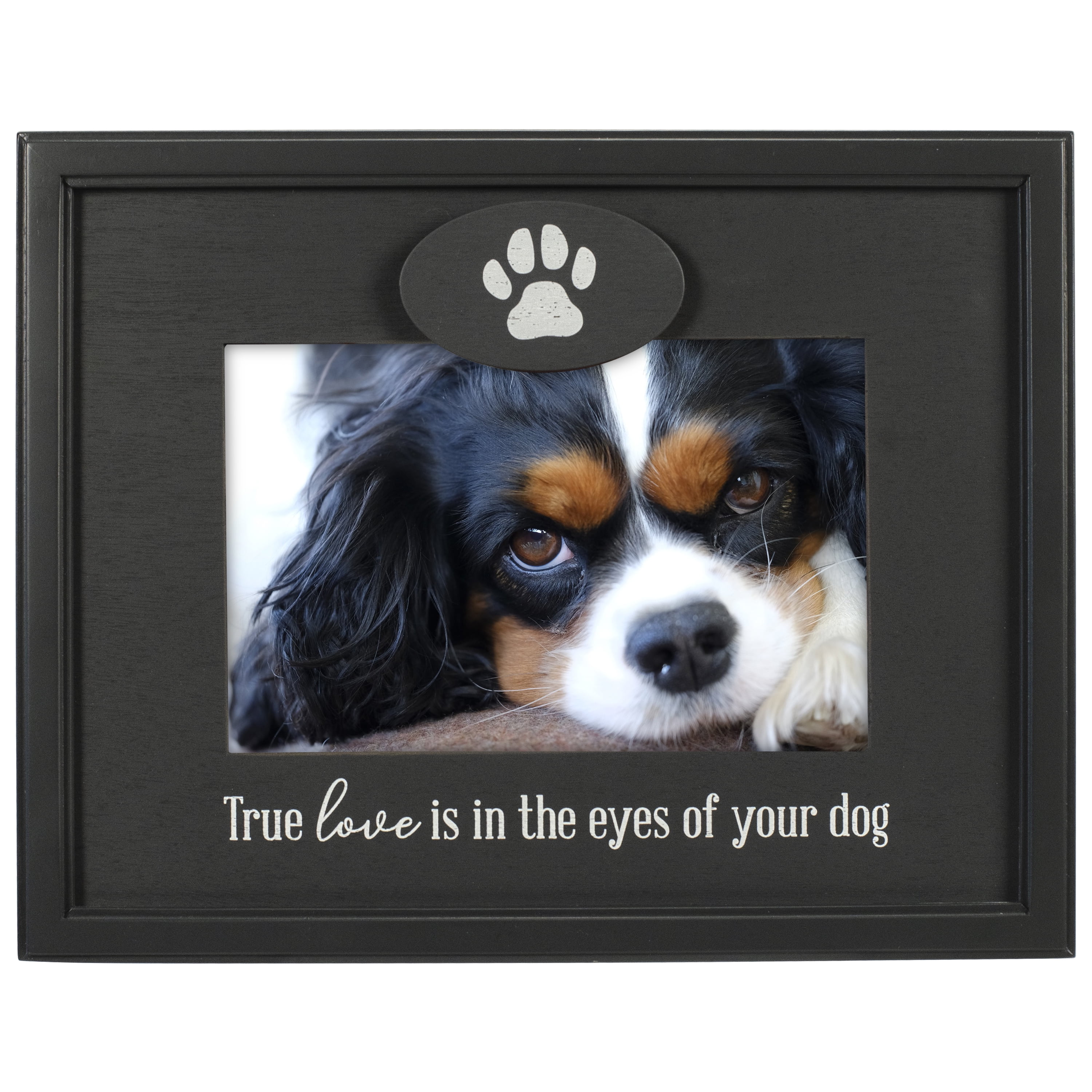 Dog themed cheap photo frames