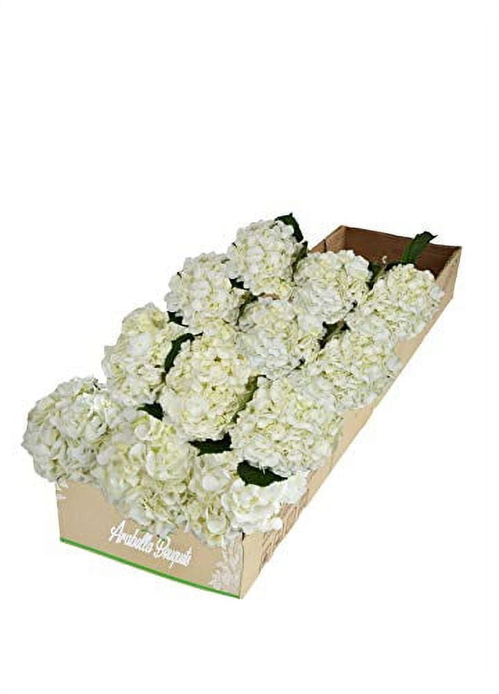 YOUR OWN DELIVERY DATE 12 White Hydrangea Bulk Flowers Designed By