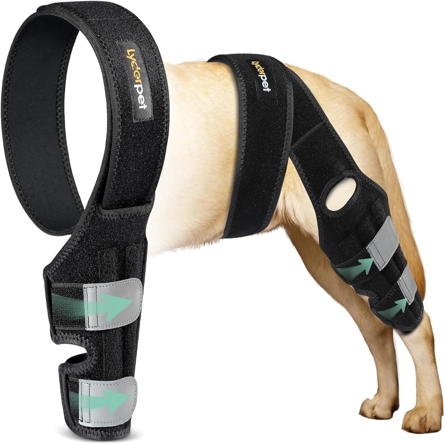 YOZIHAYL ACL Knee Brace for Dogs Back Leg Canine Care CCL Brace for Dogs Hind Leg Better