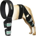 gabapentin for dogs back legs