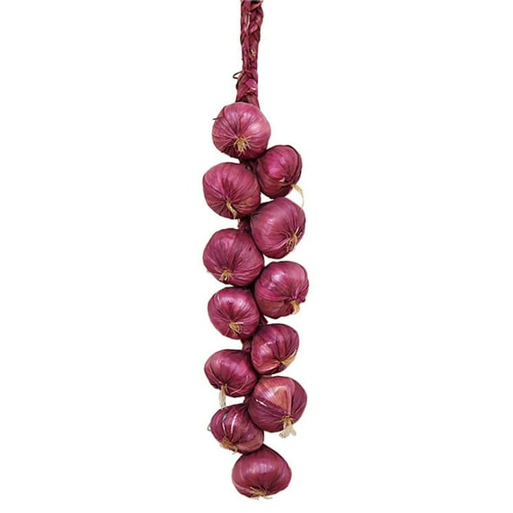 YROHGKPN Artificial Garlic String Simulation Fake Vegetable Display Ornament for Home Bedroom Party Collection Decor