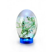 YSABOXS Mini Fish Tank, Small Desktop Aquarium with Led Light, Self Sustaining Eco