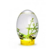 YSABOXS Mini Fish Tank, Small Desktop Aquarium with Led Light, Self Sustaining Eco